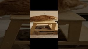 Усложняем задачу