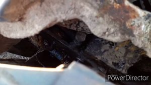 Регулировка Ламбо Петель!