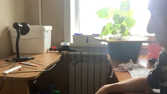 Гидропоника. Часть 3. Поломка насоса