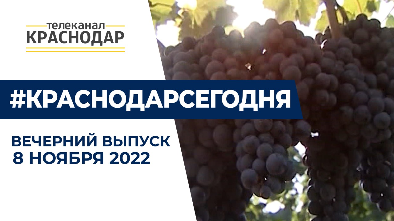Движение авто по Крымскому мосту возобновили. Сбор винограда и ремонт Домбайской. Новости 8 ноября