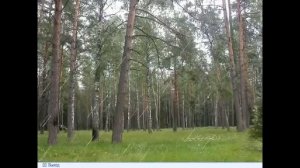 4 способа Очистки Воздуха и Устранение пыли