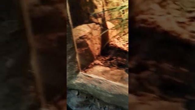 VID 20151206 150858 смотреть онлайн