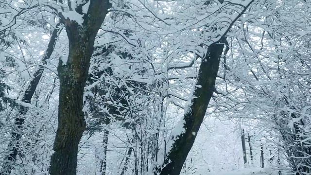 В зимнем лесу???Красивая музыка смотреть онлайн