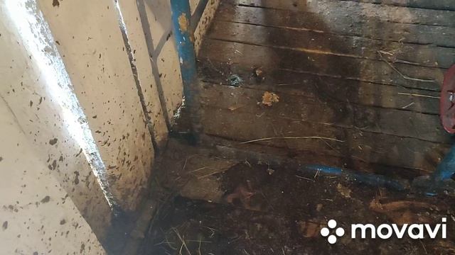 Выходные в деревне. смотреть онлайн