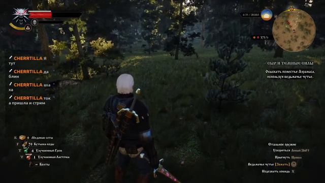 Сериал ненавидит фанат CD Project, ууоооуу! смотреть онлайн