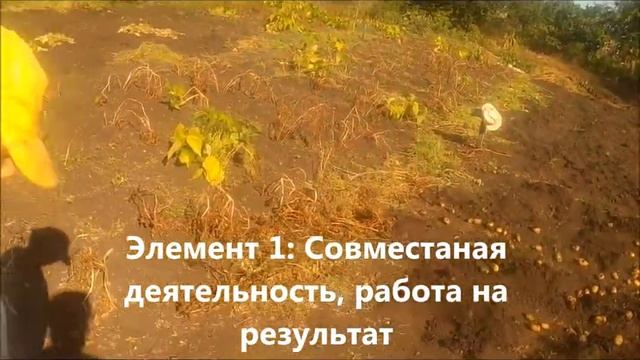 Производственная поэма о том, как работает в семье качества система