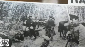 Партизанский отряд Степной