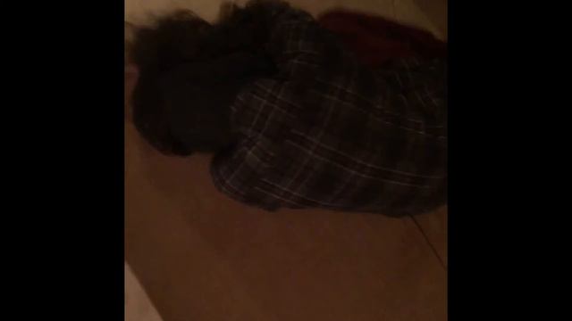 Sonnet Project Mrs Garcia смотреть онлайн