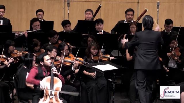 Tchaikovskys Variations on a Rococo Theme Op  33 for cello Excerpt