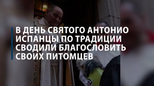 В День святого Антония испанцы по традиции сводили благословить своих питомцев
