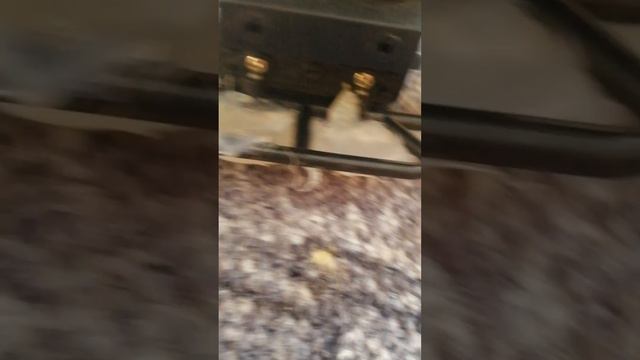 14 августа 2023 г. смотреть онлайн