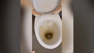 Как отмыть унитаз быстро. Интерхим 705