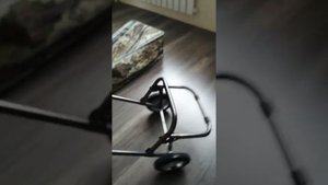 Сумка с тележкой на колёсах