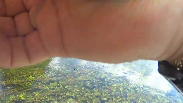 СУПЕР РЫБАЛКА!ГОЛАВЛЬ!ОКУНЬ!ЩУКА!ЖЕРЕХ!Сплав по малой реке !#рыбалка#щука#окунь#спиннинг#река смотреть онлайн