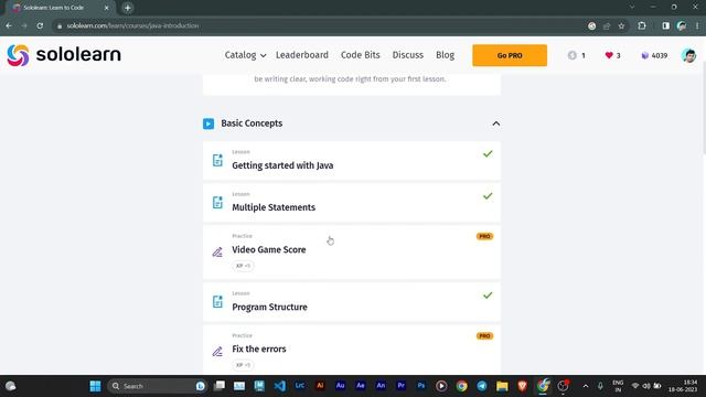 Introduction to java solo learn new course answers of Basic Concepts part 01