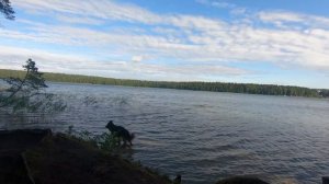 Наш отдых. Лепель прекрасен. Уже скучаем...