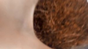 Как ухаживать за улиткой ахатиной #2 - замена грунта.