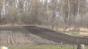 Посев люцерны с ячменём. В помощь мотоблок!