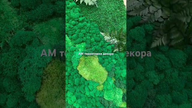 Стабилизированный мох в интерьере (качество)