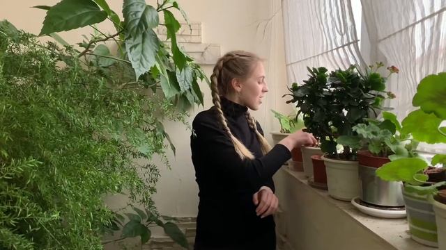 Вам и не снилось. Галина Шербакова смотреть онлайн