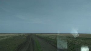 Едем по Синей горе, среди диких тюльпанов))