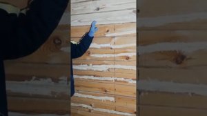 Шлифование стен из бруса своими руками