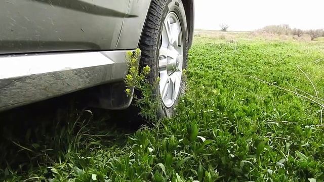 Птица пустырей — удод смотреть онлайн