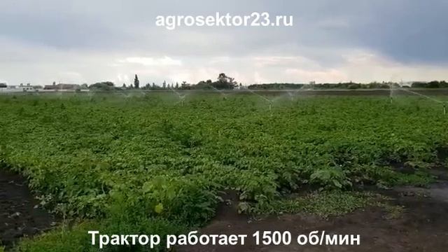 Насос от вом т3100ае+ 50 спринклеров. Полив в ст.Гиагинская, Адыгея смотреть онлайн