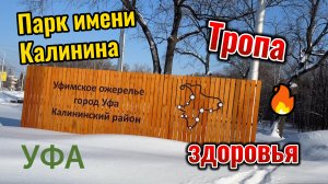 Тропа здоровья, прогалка по зимнему лесу в солнечный день, февраль 2024.