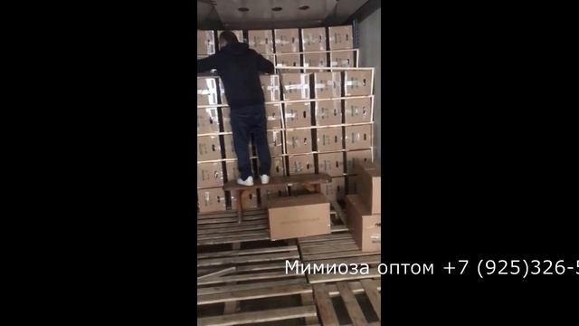 Мимоза оптом в Москве +79253265604 в 2021 смотреть онлайн