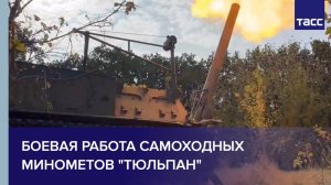 Боевая работа самоходных минометов "Тюльпан"