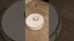 Белый или чёрный roborock робот- пылесос