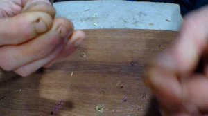 ПРИМАНКА НА ОКУНЯ ИЗ БИСЕРА! Самоделка для зимней рыбалки СВОИМИ РУКАМИ.