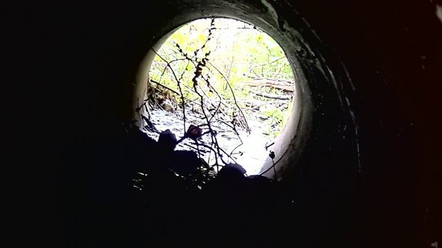 Водослив на пруду смотреть онлайн