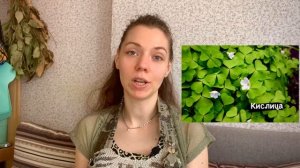 Дикоросы: составляем полезное меню.