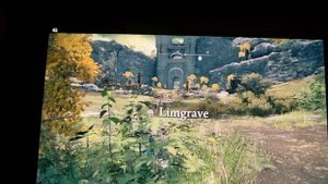 Elden Ring settings for Steam Deck OLED - Mostly 40 fps