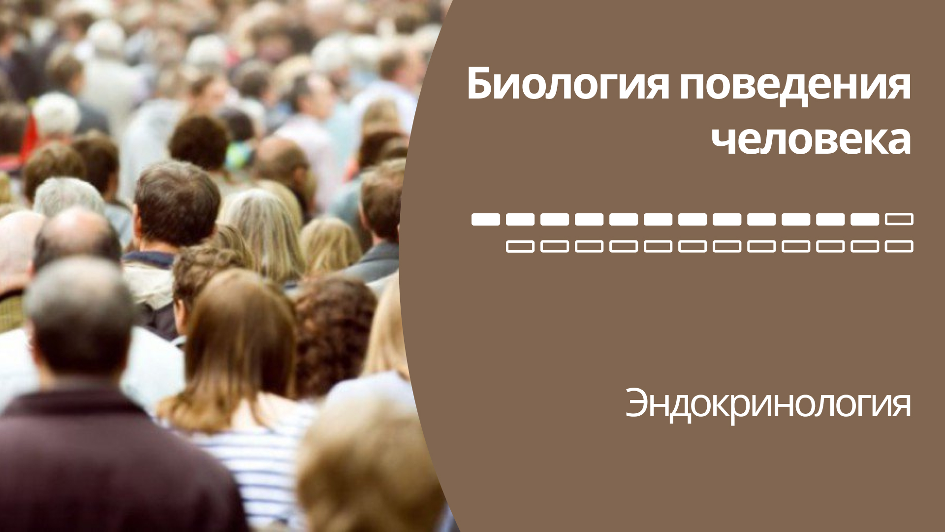 Биология поведения человека: Лекция #12. Эндокринология [Роберт Сапольски, 2010. Стэнфорд]