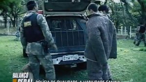 Polícia de Qualidade - Parte 4