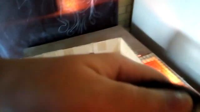 Как определить 100% пол суточного цыпленка .