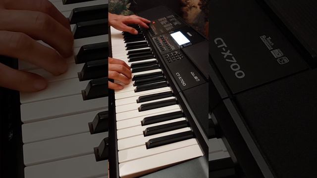 "Тече річенька невеличенька" Casio CT X-700 смотреть онлайн