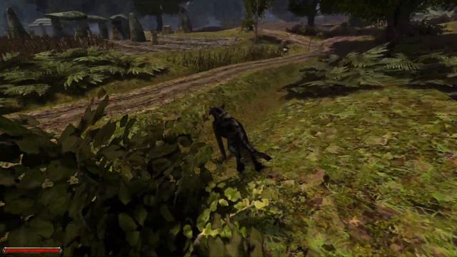 Готика 2: Ночь Ворона - "Приручение" животных (работает не на всех) смотреть онлайн