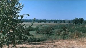 ЭХ, АНДРЮША