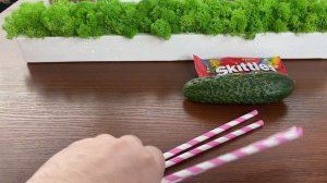 Новый друг Сопли 🥒 😆 Бородатая Семейка