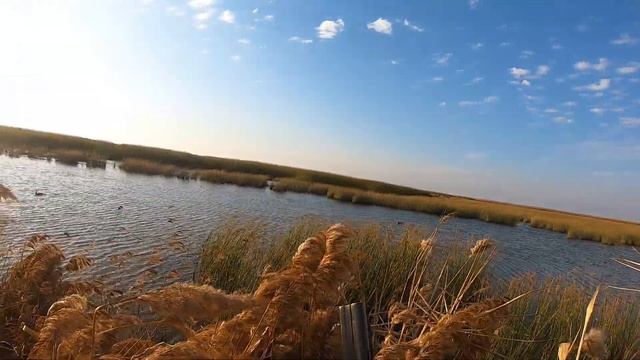 Охота на утку осенью/ Охота в плавнях Кубани