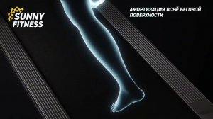 Беговая дорожка AMMITY Fashion FTM 4516