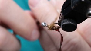Мушка на хариуса. Использование пера фазана