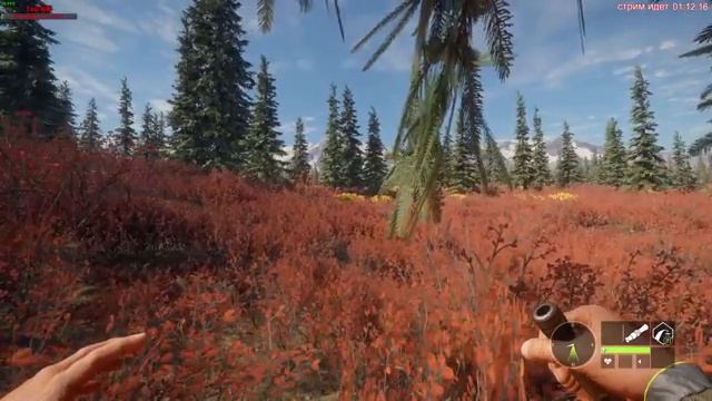 The Hunter: Call of the Wild | Охота на северо-западе Канады | Yukon Valley #8 смотреть онлайн