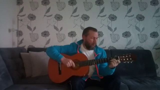 игра на гитаре. "Мохнатый шмель." "Furry bumblebee."