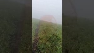 Поход на гору Урочище "Сухая Балка" пос. Псебай