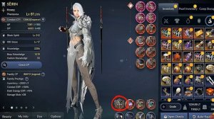 Black Desert Mobile 😈 КАК ОДЕТ ТОП ИГРОК 😈